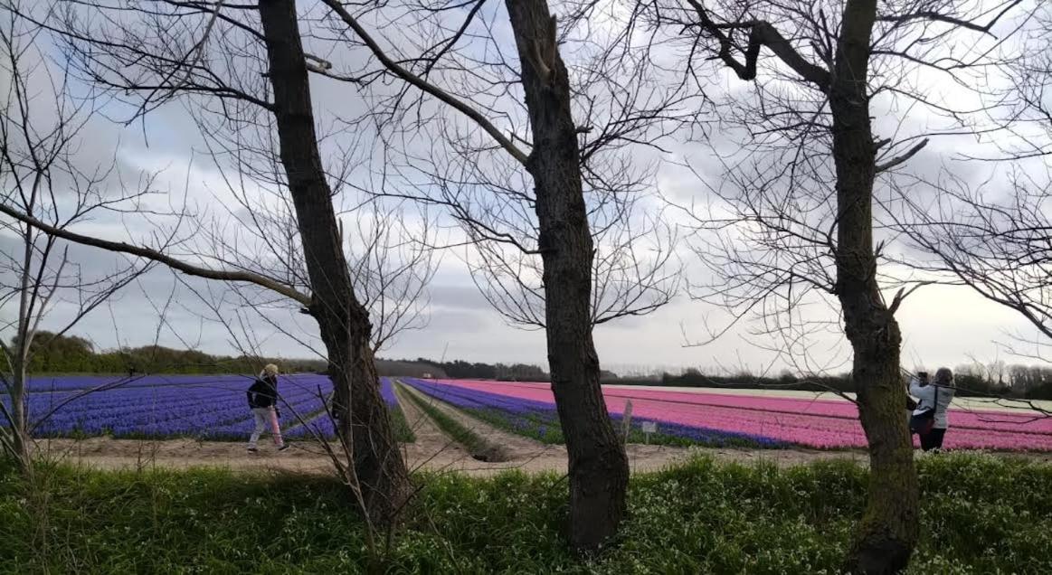 Villa Trouz Ar Mor Penmarcʼh Esterno foto